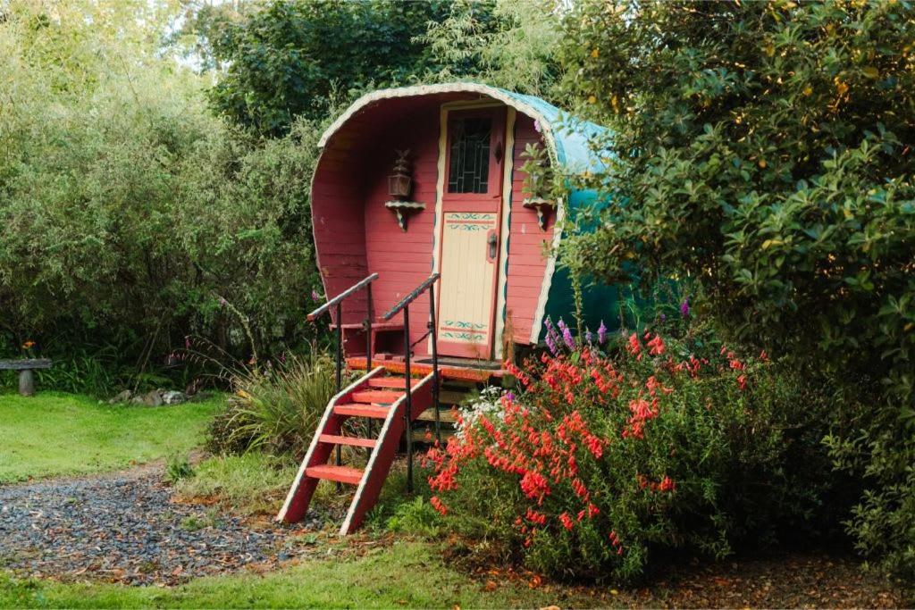 Villa Pekapeka Tiny House By Tiny Away Owaka Exterior foto